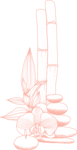 https://lms.encoordinacion.com/wp-content/uploads/2021/04/cbn-2.png